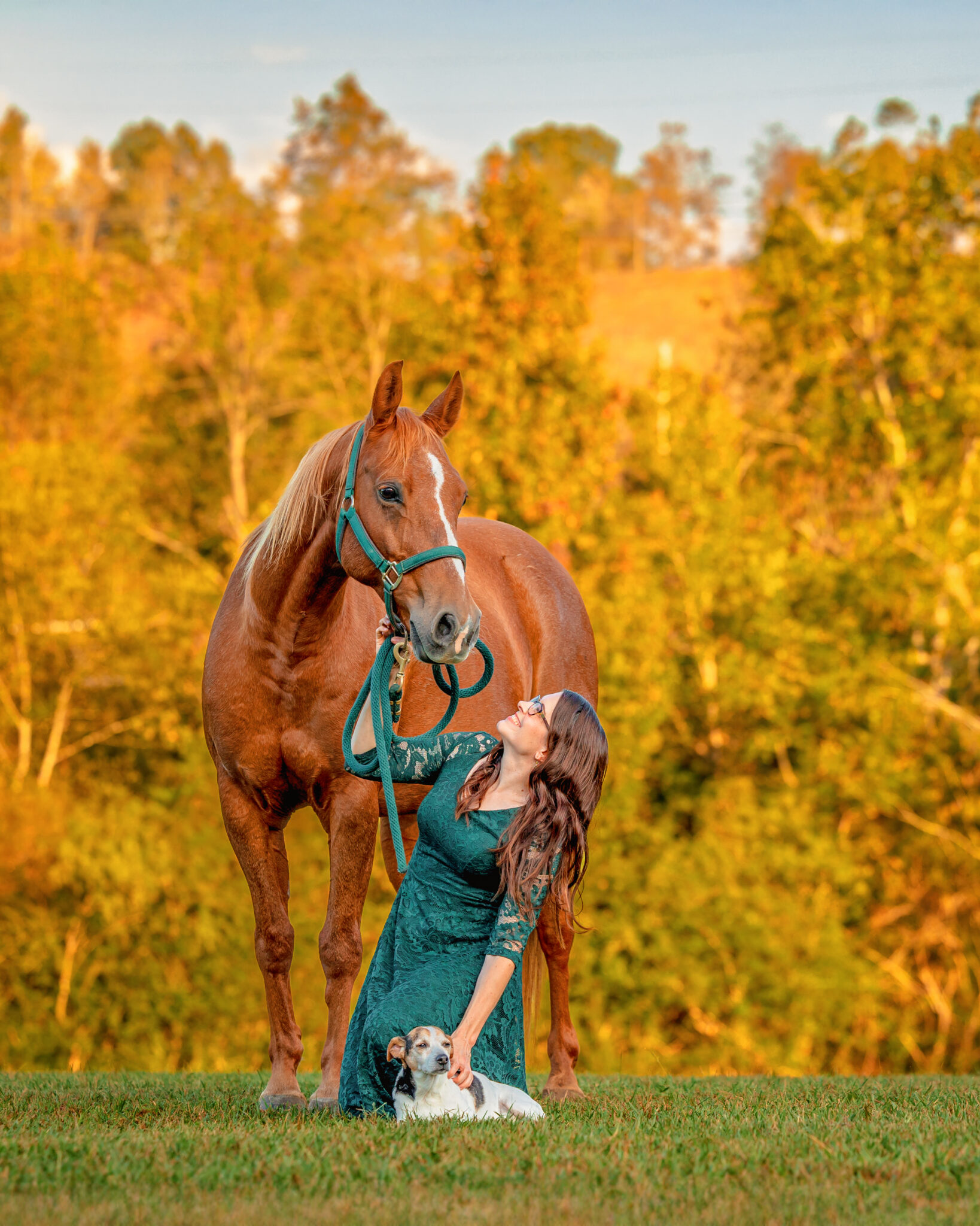 Horse and rider photoshoot in McDonald Tennessee with rider, dog and horse 