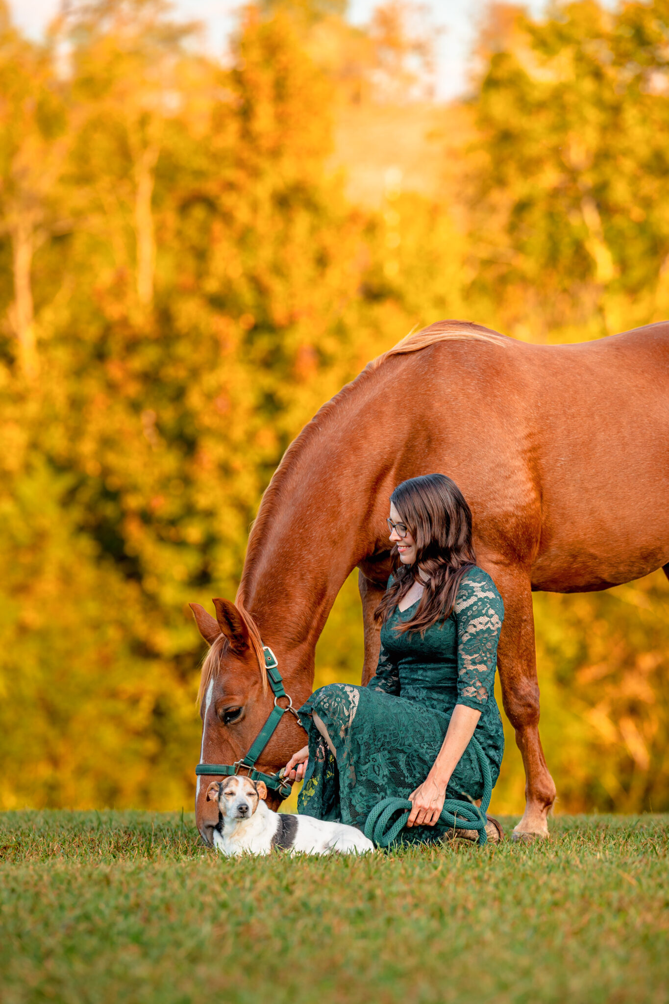 Western horse and rider photos at Tri-State in Cleveland TN.