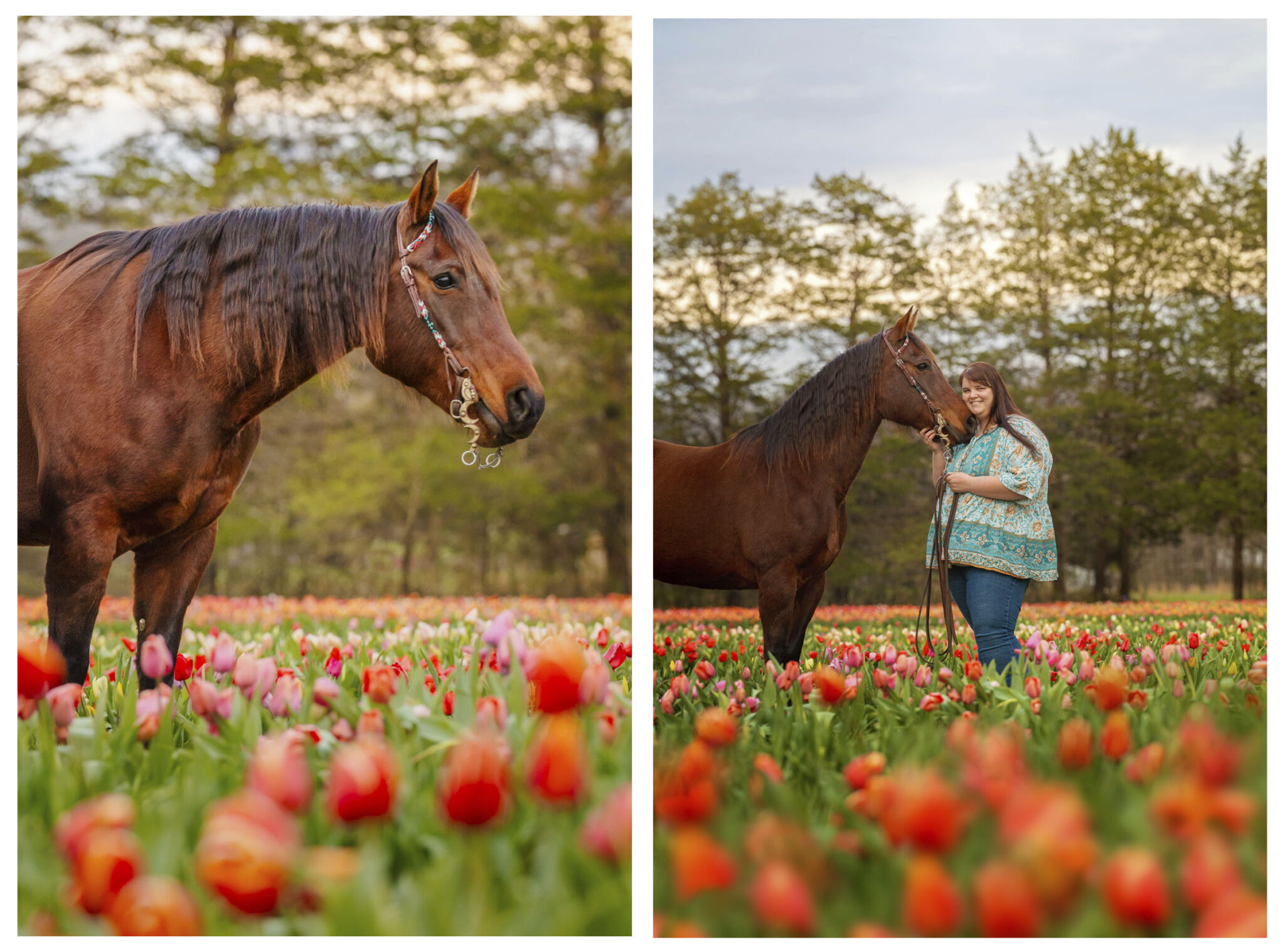 Horse and rider session - Pistol and Jessica