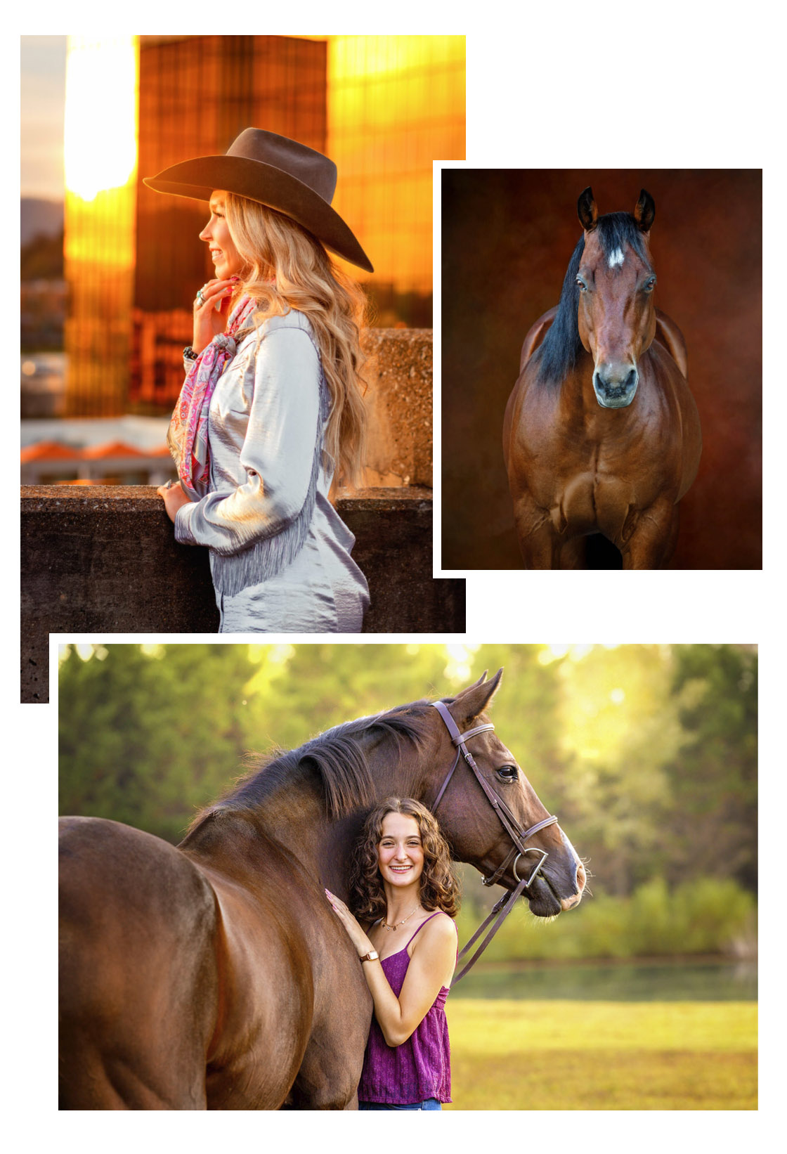 Horse and Rider Photography in Tennessee
