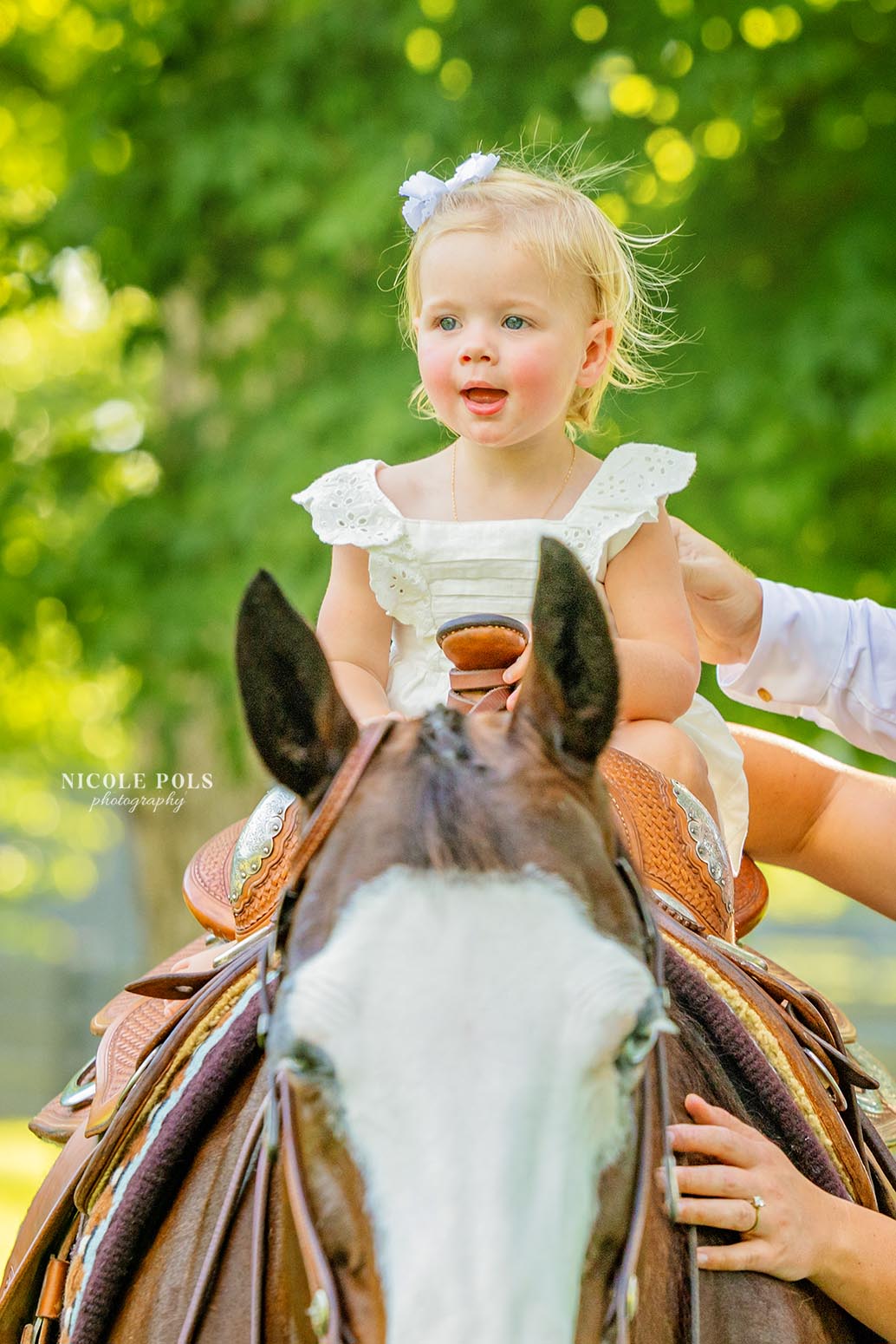 Family and Horse Photoshoot in Kingston TN