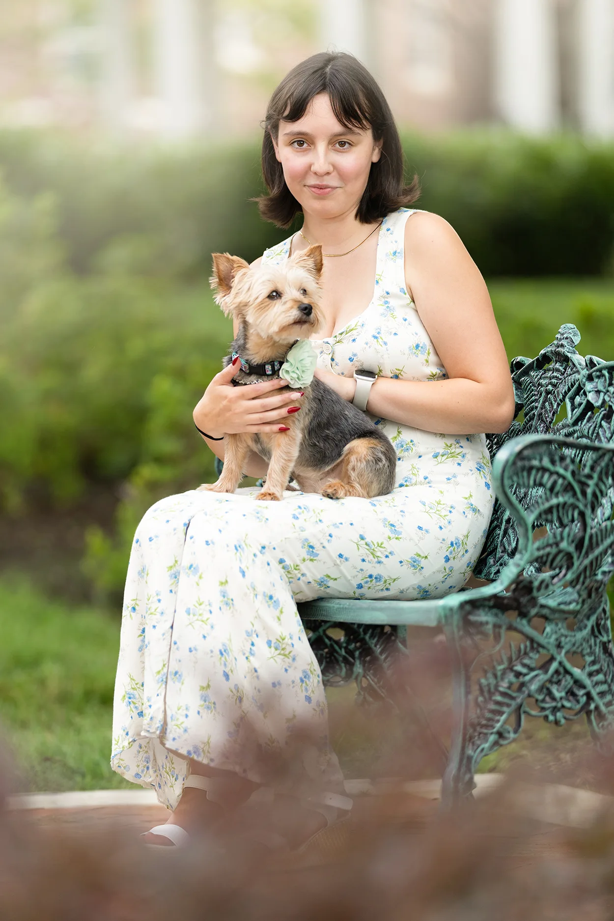Dog Photographer