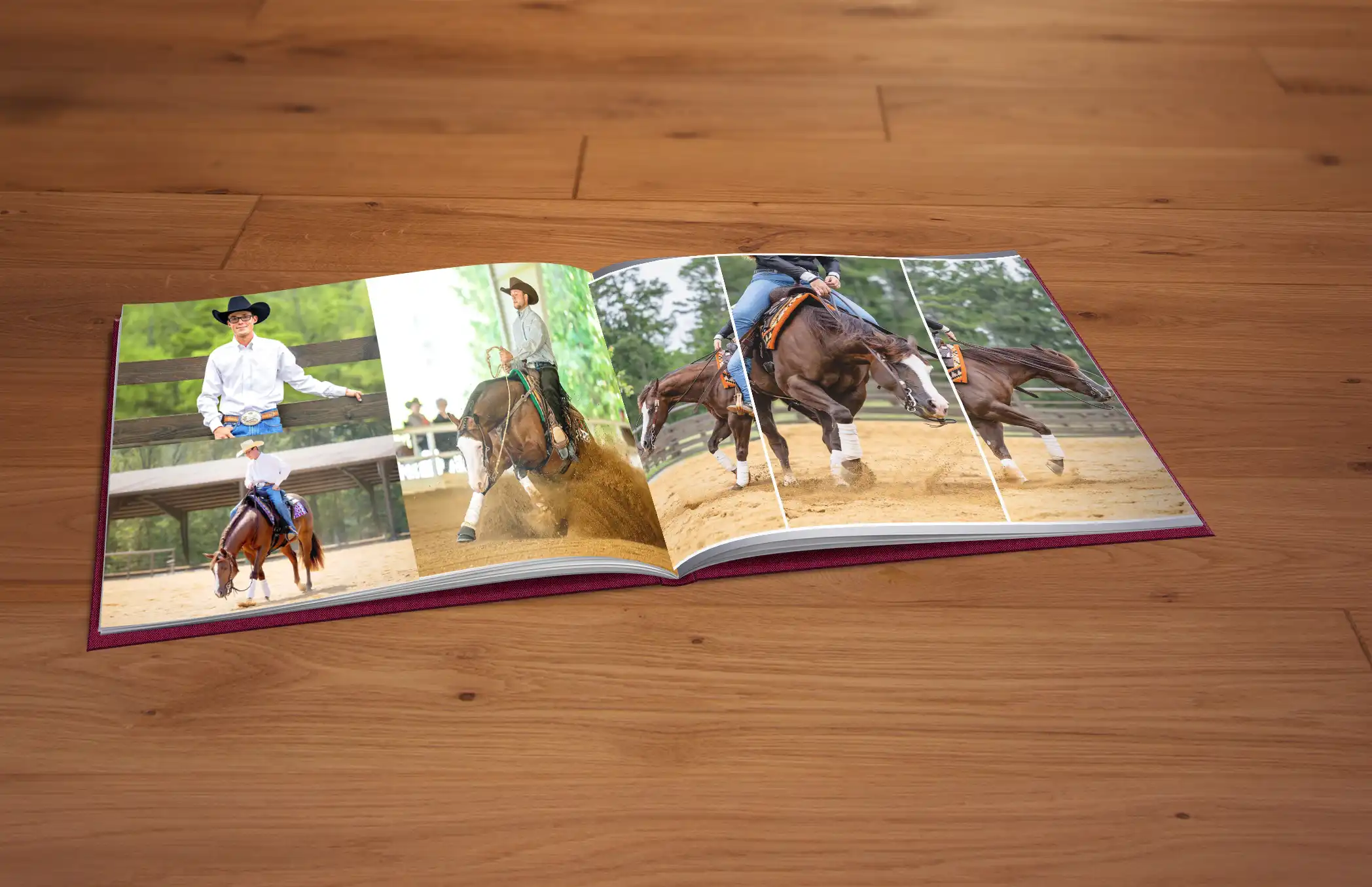 Horse and Rider Album Nicole Pols Photography Tennessee