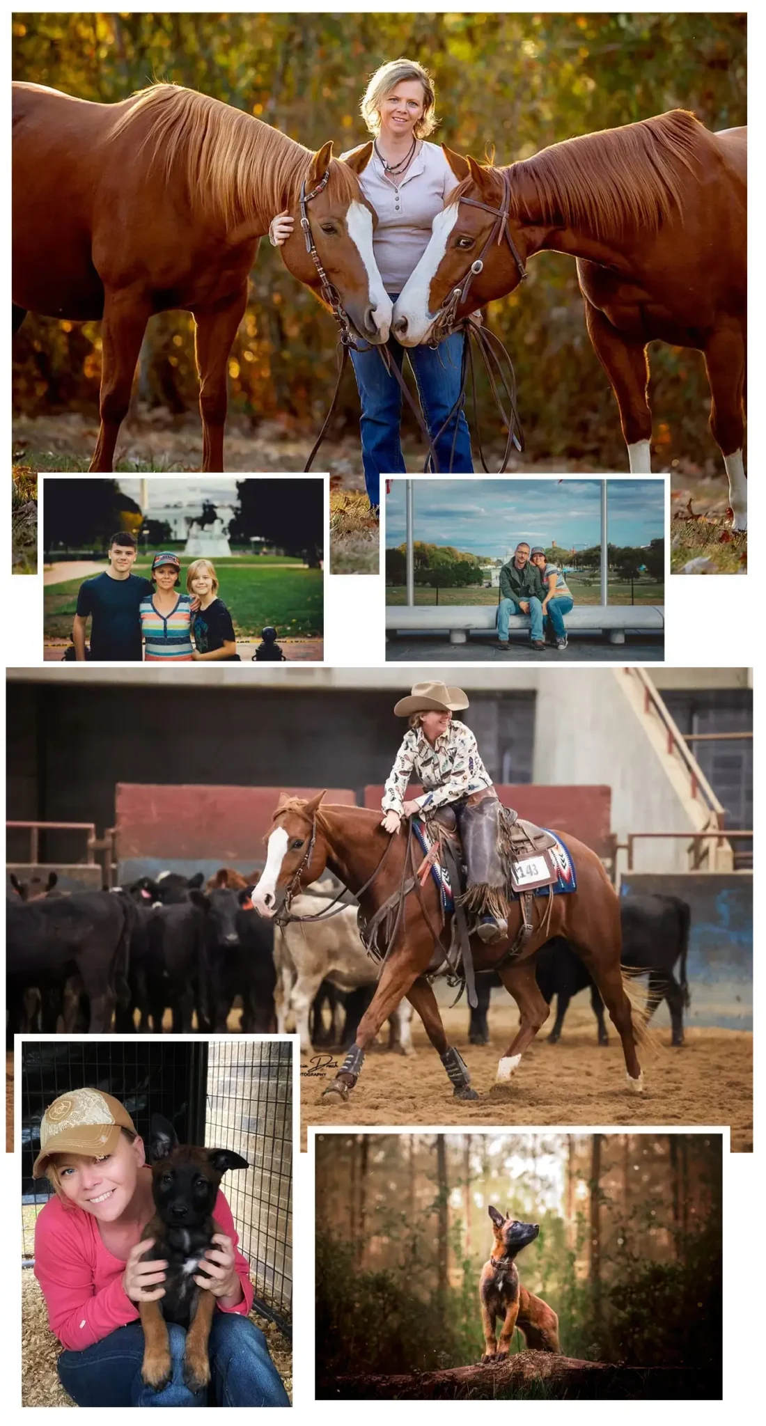 nicole pols dog and horse photographer chattanooga